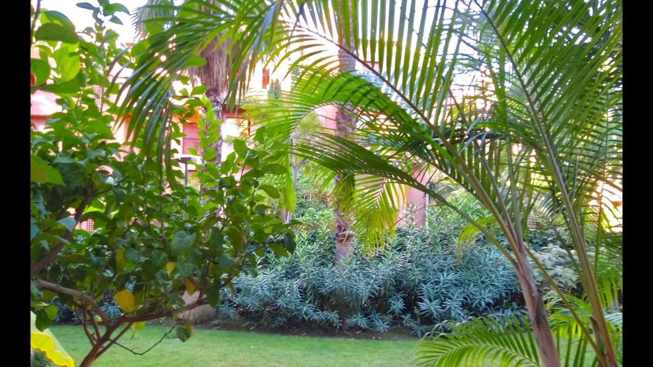 Marbella Alicate Beachfront - Luxury Apartment-2 Экстерьер фото